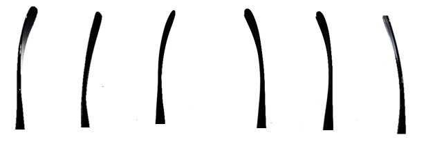 Unique NHL Player Pro Stock Curves