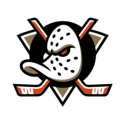 Anaheim Ducks Hockey Sticks