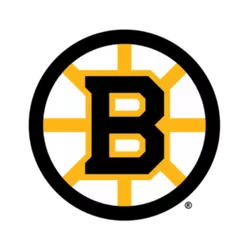 Boston Bruins Sticks