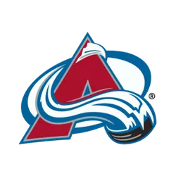 Colorado Avalanche Sticks