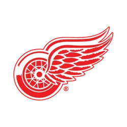 Detroit Red Wings Sticks