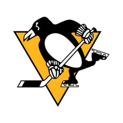 Pittsburgh Penguins Sticks