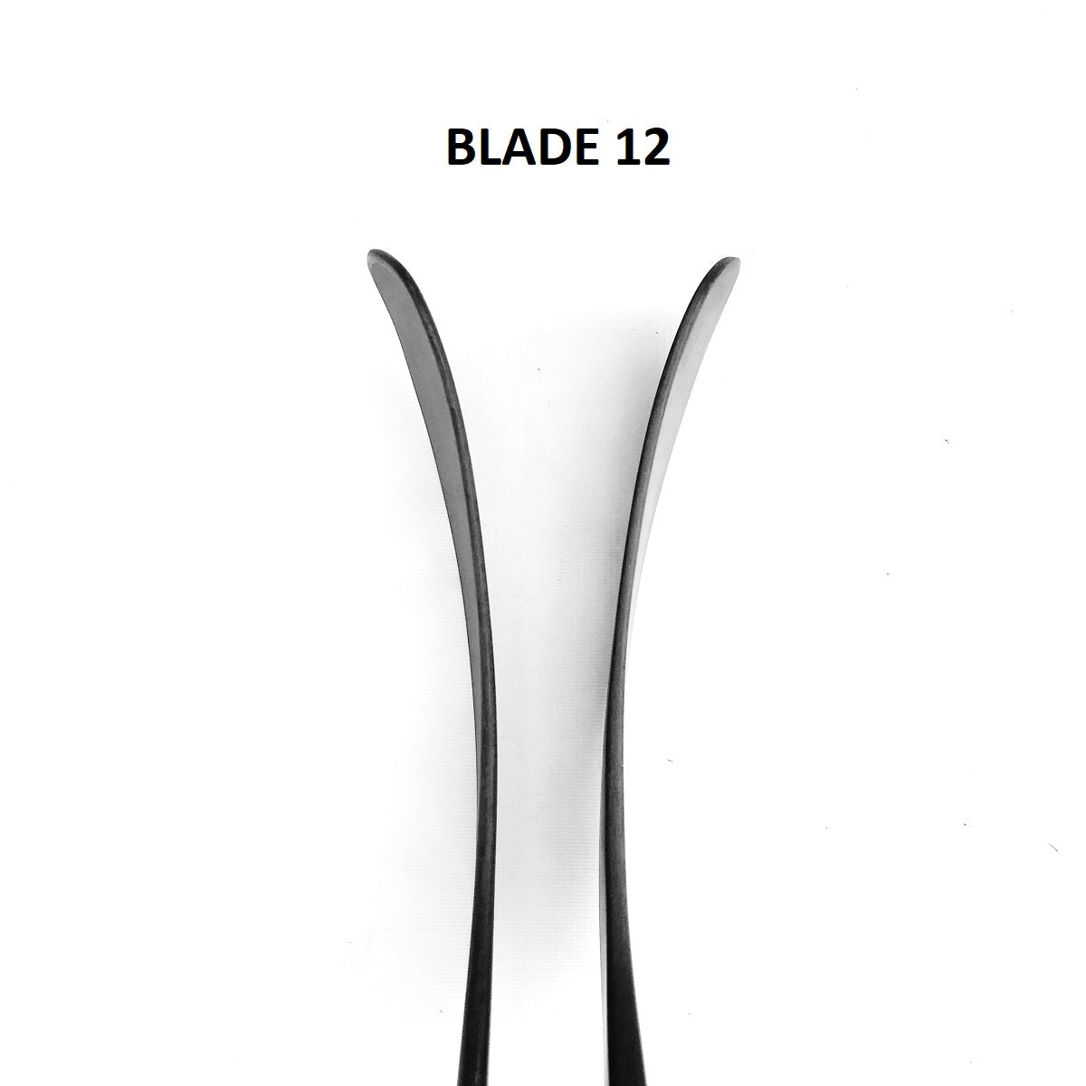 Jamie Benn Pro Stock - Bauer Nexus 2N Pro (NHL)