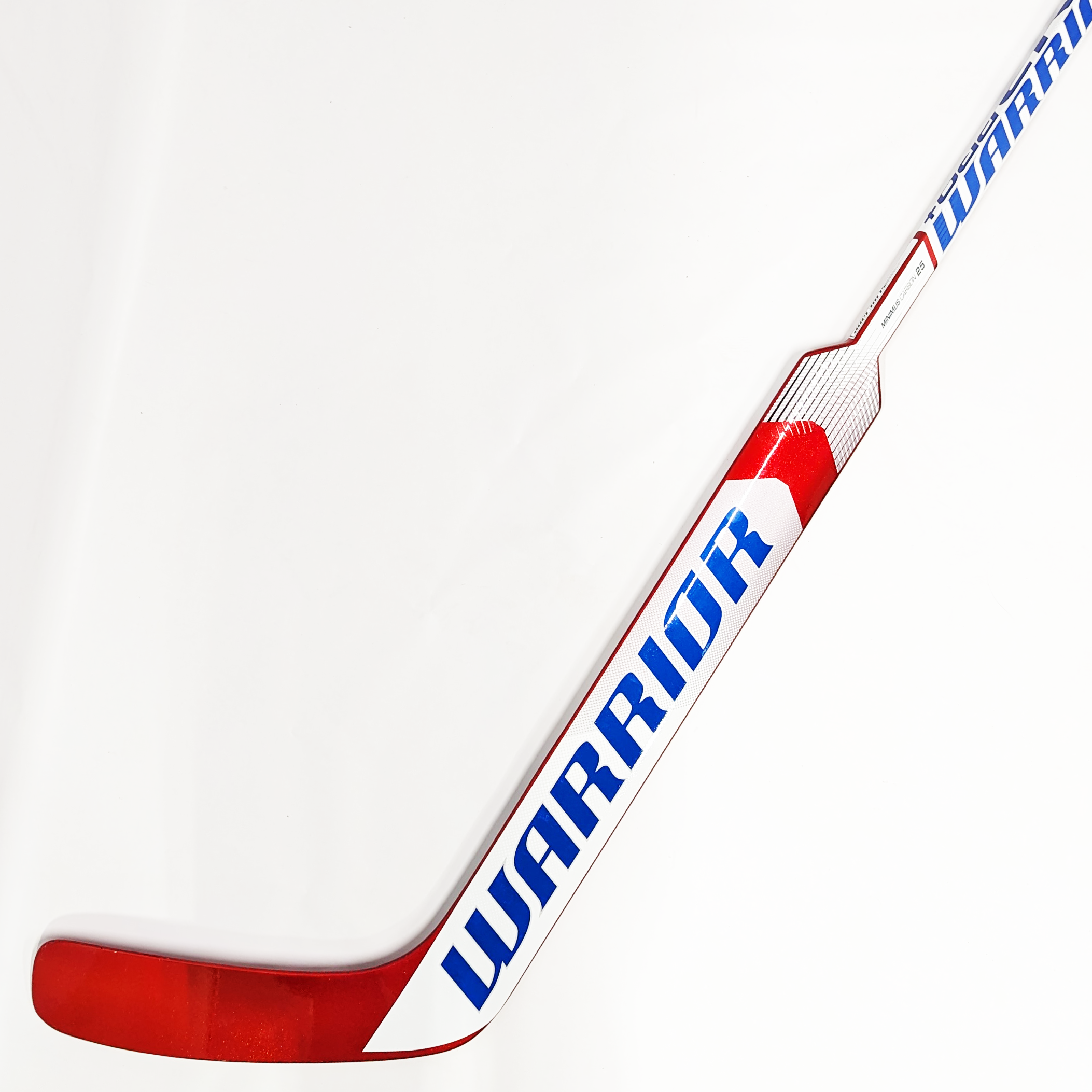 Gardien de but - Rituel du Guerrier V2 Pro+