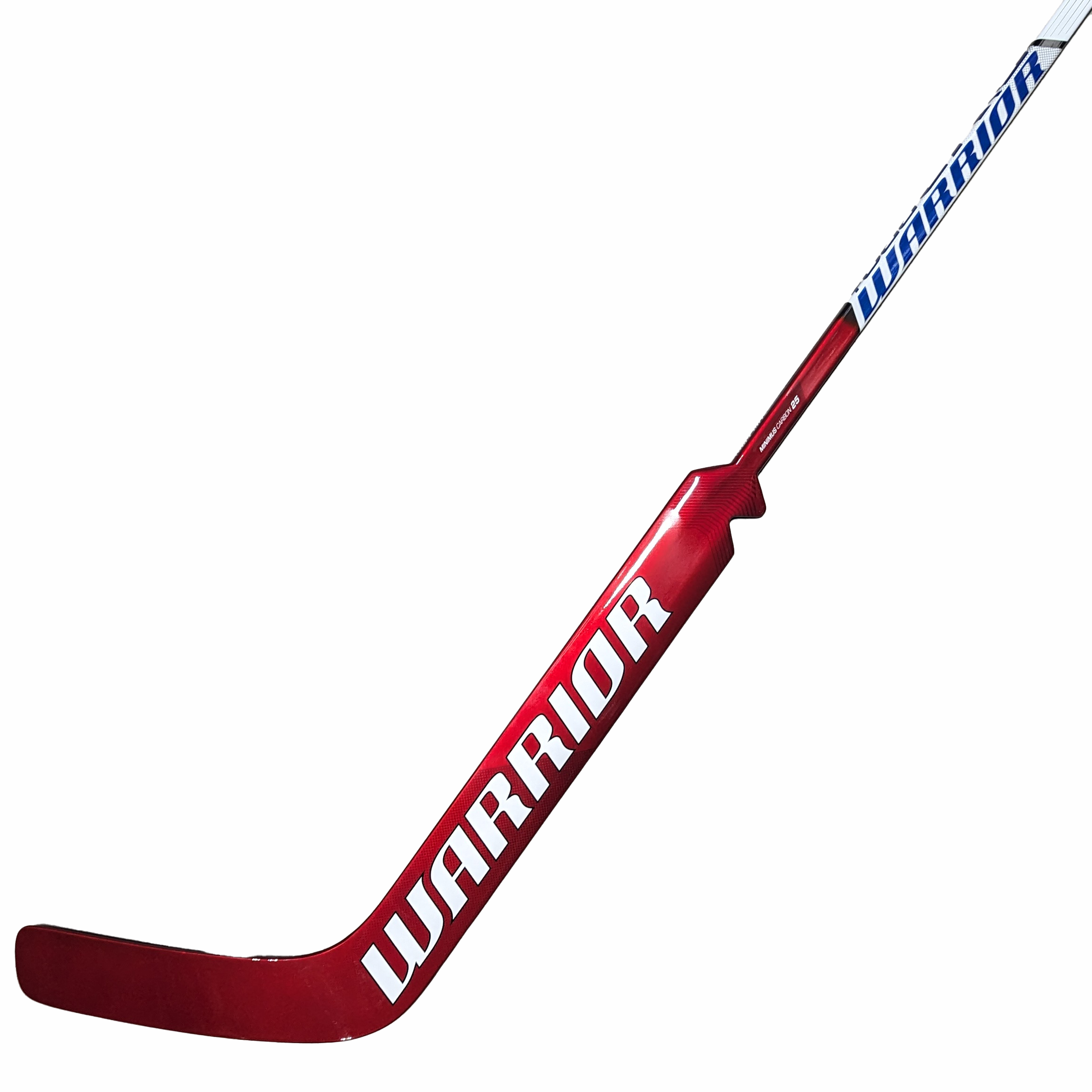 Gardien de but - Rituel du Guerrier V2 Pro+