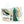 Load image into Gallery viewer, Vaughn Velocity V7 Pro XF Carbon - Pro Stock Goalie Pads - Full Set (White/Green/Gold)
