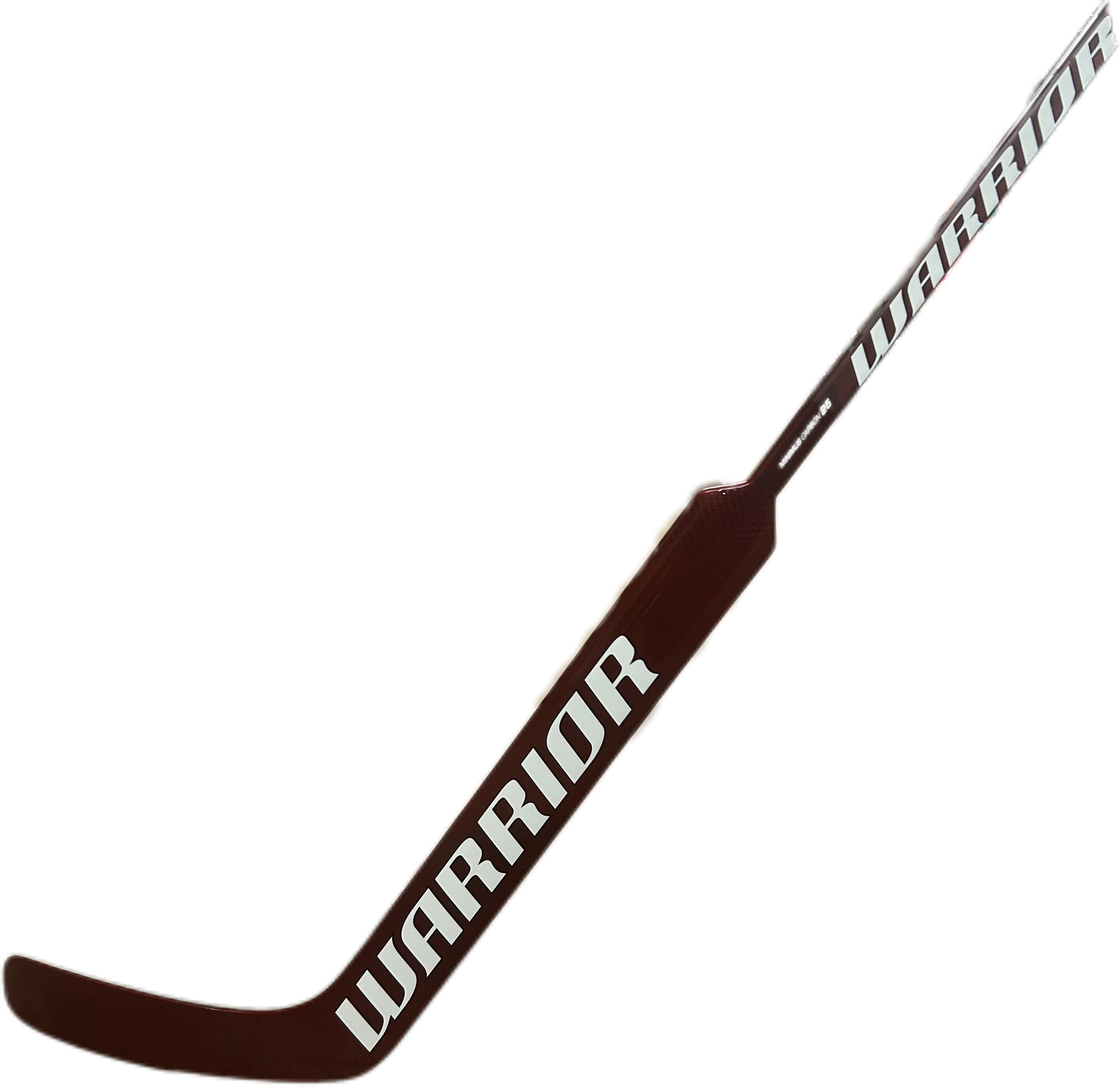 Gardien de but - Rituel du Guerrier V2 Pro+